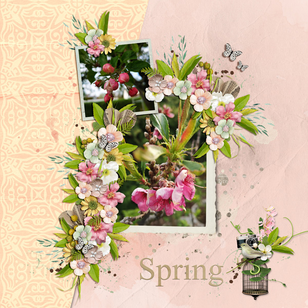 Spring is here