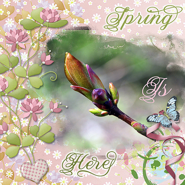 Spring Is Here