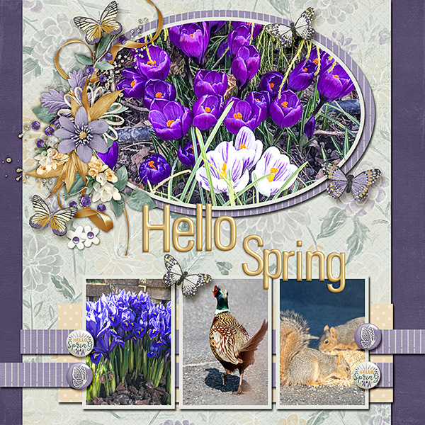 Spring-is-here