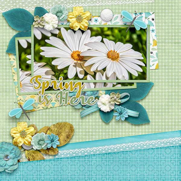 Spring Is Here