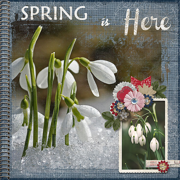 Spring Is Here