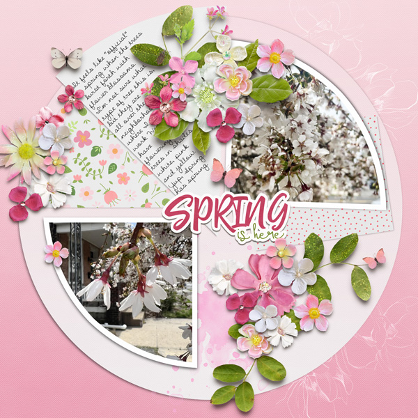 Spring is Here
