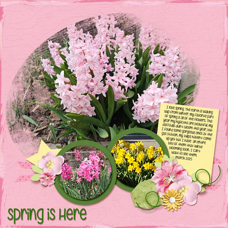 Spring-is-Here_web.jpg