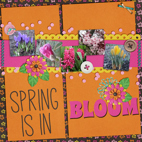 Spring is in Bloom