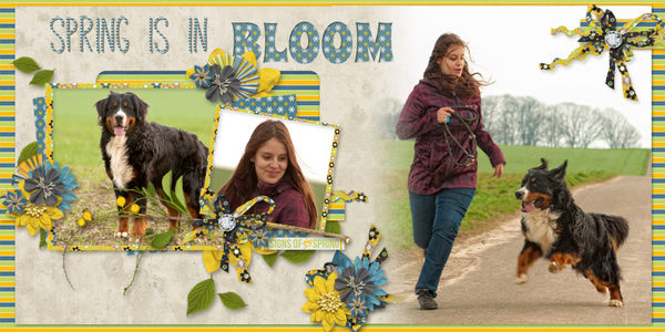 Spring is in Bloom