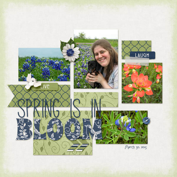 Spring is in Bloom