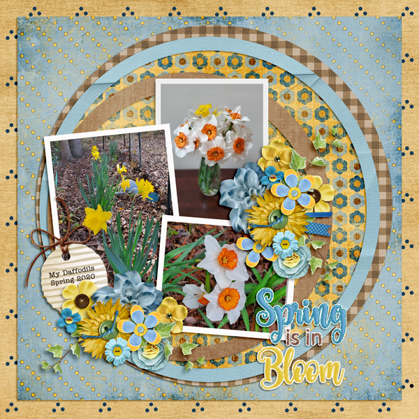 Spring is in Bloom