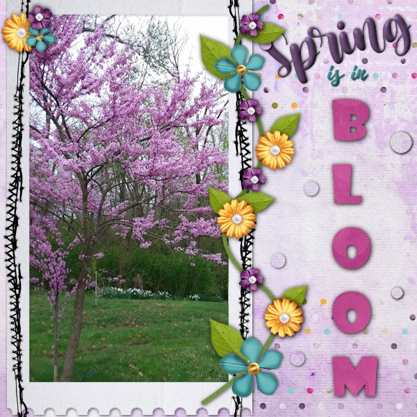 Spring is in Bloom