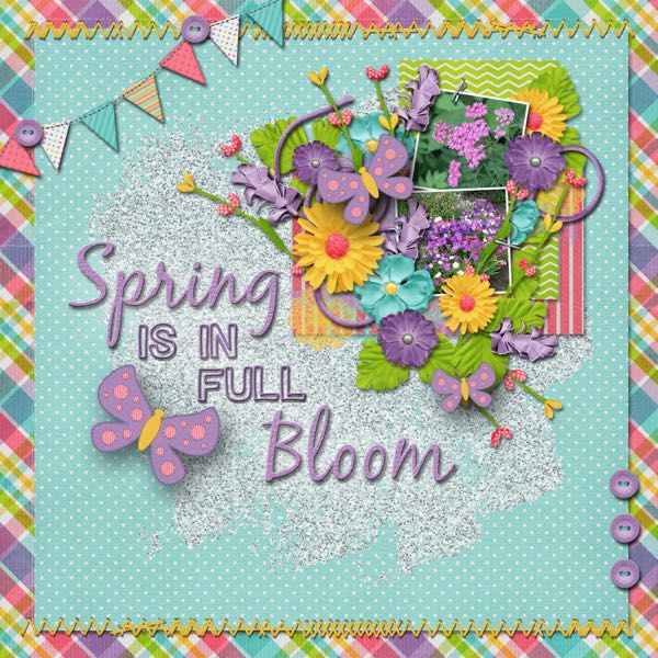 Spring is in Full Bloom