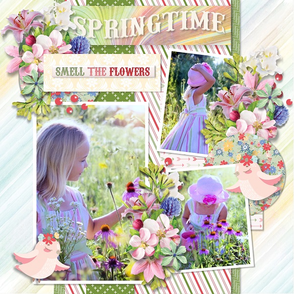 Spring is in teh air 3