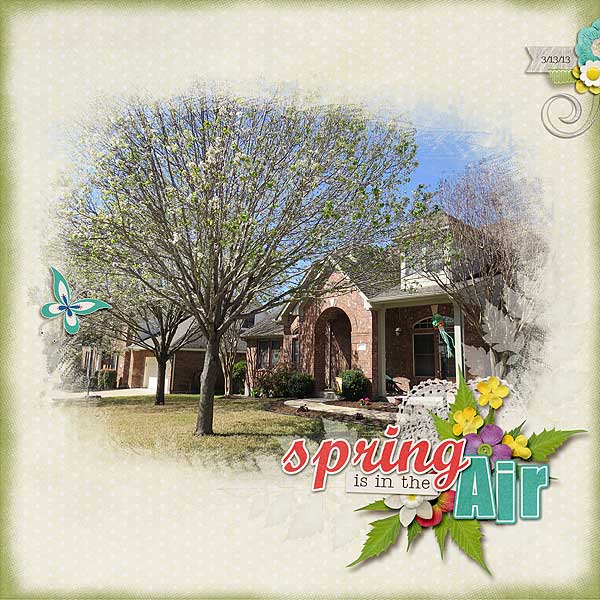 Spring is in the Air