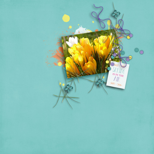 spring is in the air