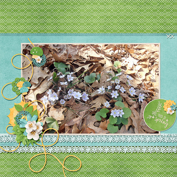 Spring is in the Air