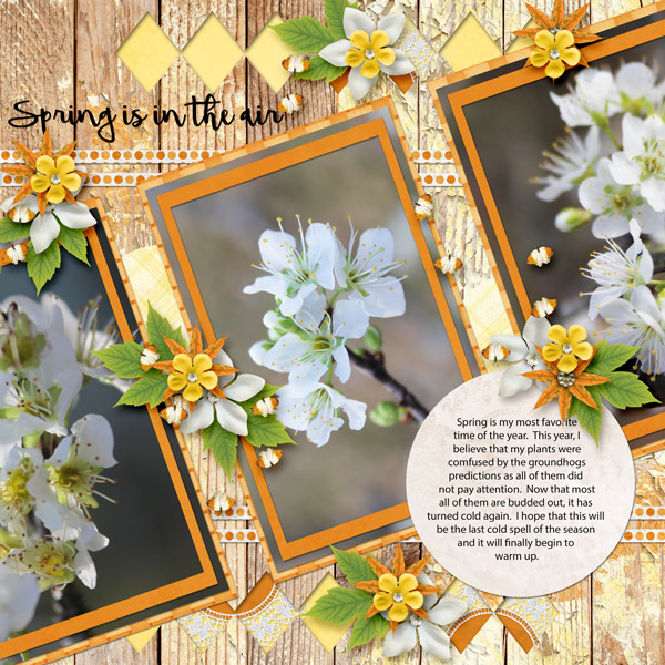 Spring is in the air
