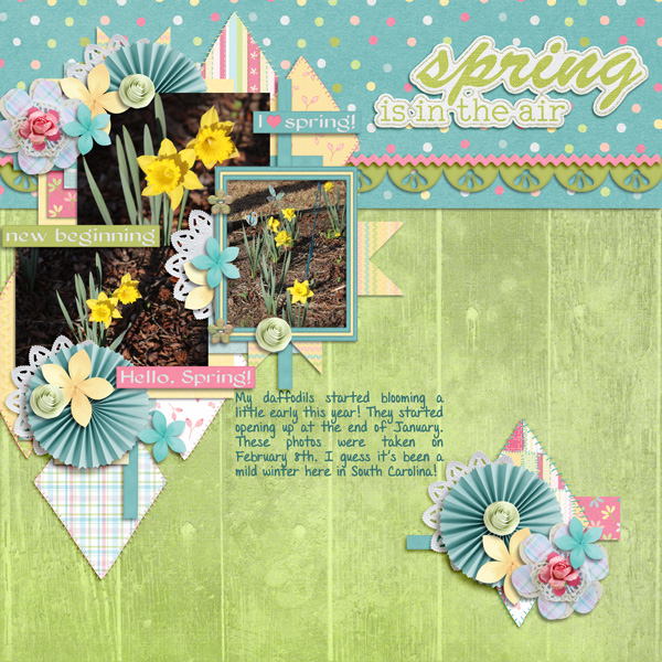 Spring Is In The Air