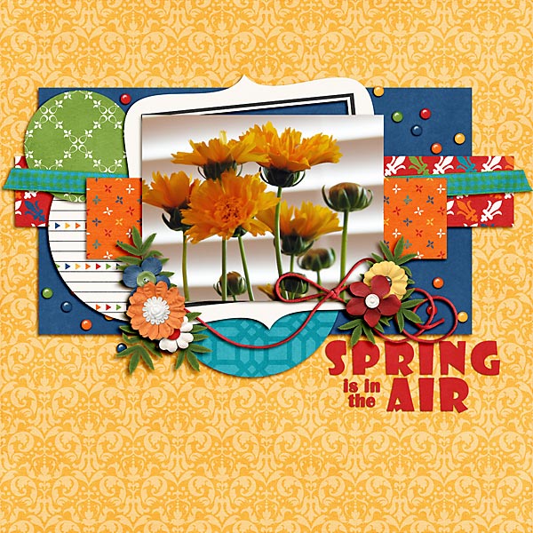 Spring Is In The Air