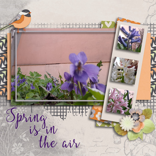 Spring is in the air