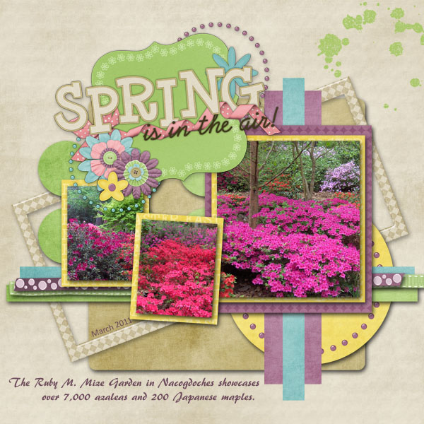 Spring Is In The Air