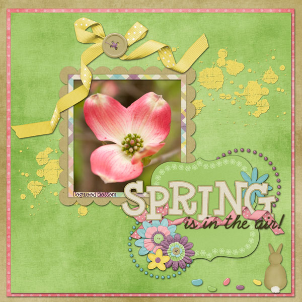 Spring Is In the Air