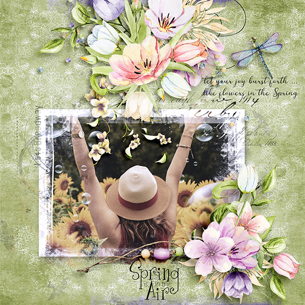 Spring is in the Air