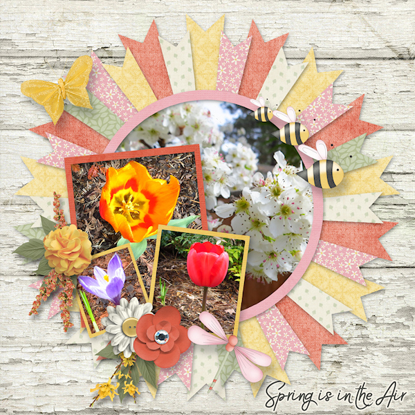 Spring is in the Air!