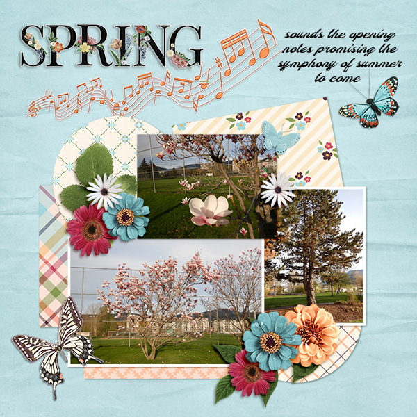 Spring is in the Air