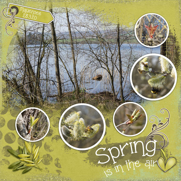 Spring is in the air