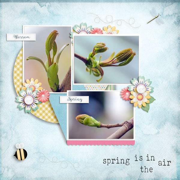 Spring Is In The Air