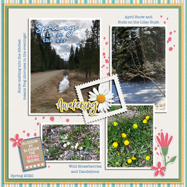 SPRING IS IN THE AIR