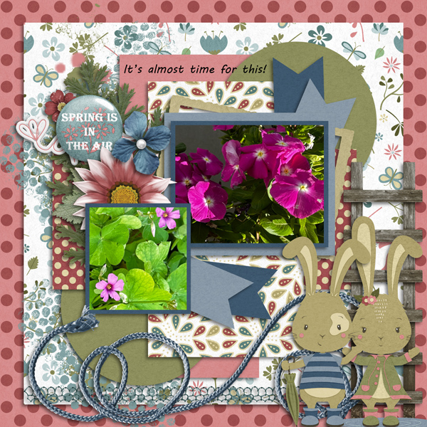 Spring is in the Air