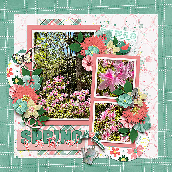 spring is in the air
