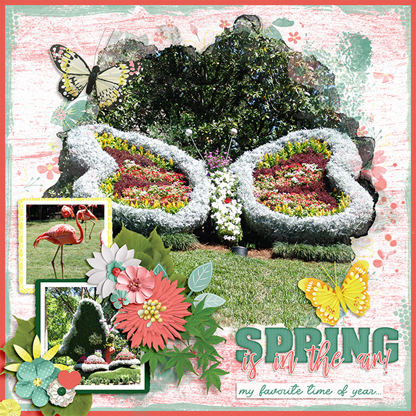 Spring Is In The Air