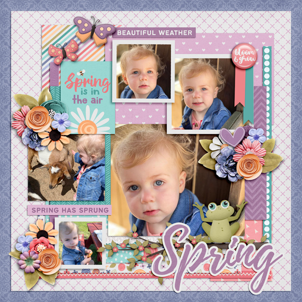 Spring is in the Air