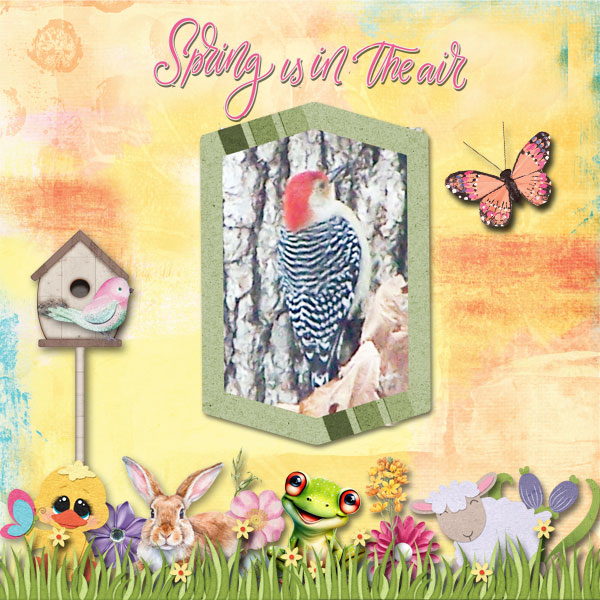 Spring is in the Air