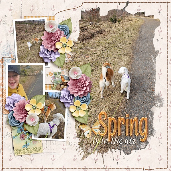 Spring is in the air