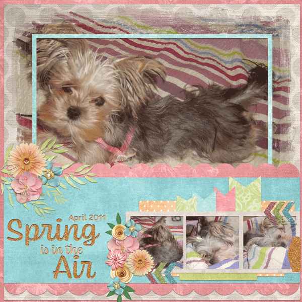 Spring is in the Air