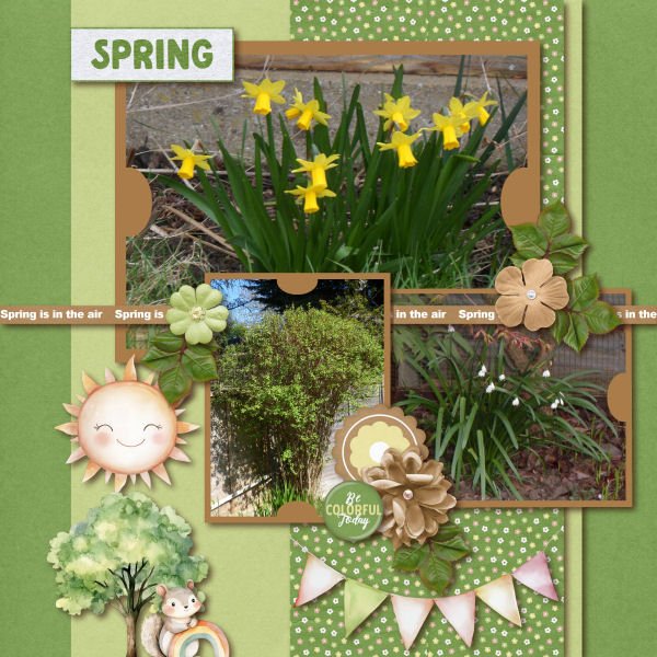 Spring is in the Air