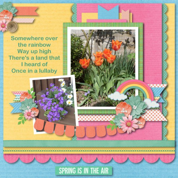 Spring Is In The Air