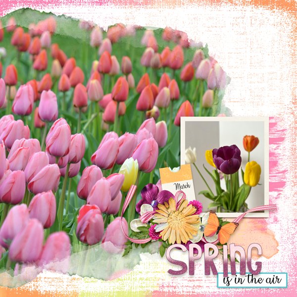 Spring Is In The Air