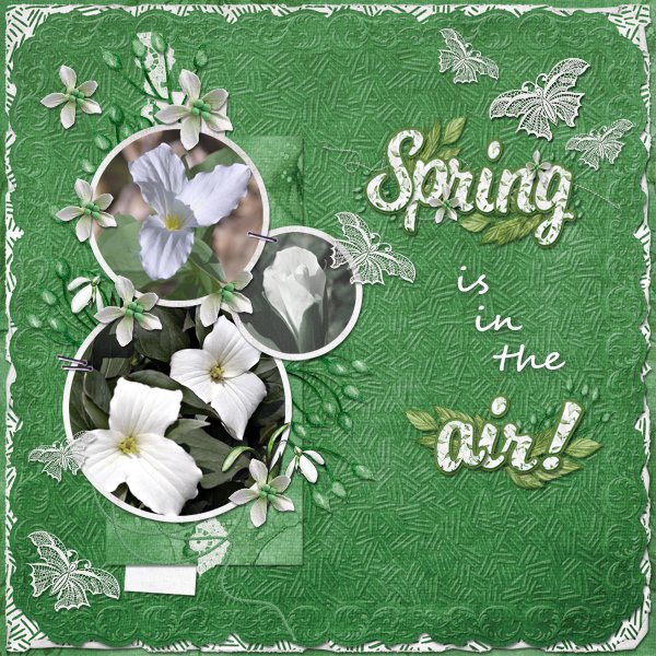 Spring is in the Air