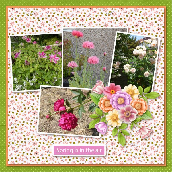 Spring Is In The Air