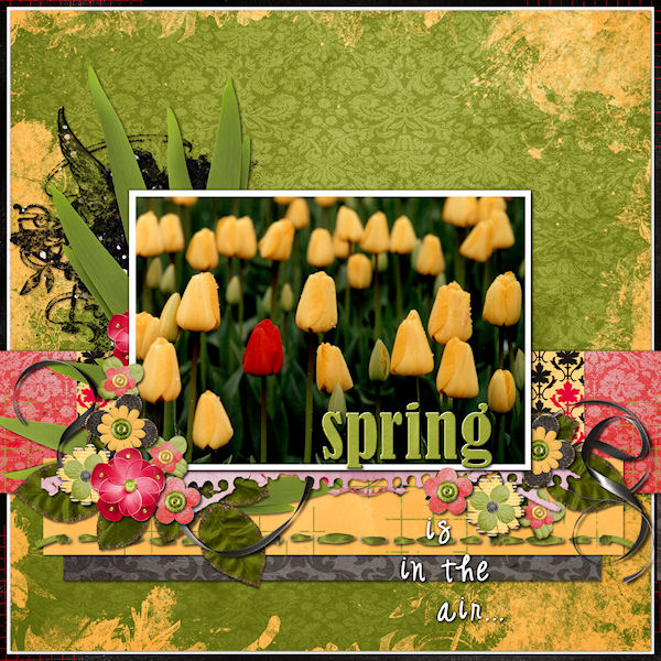 Spring is in the air