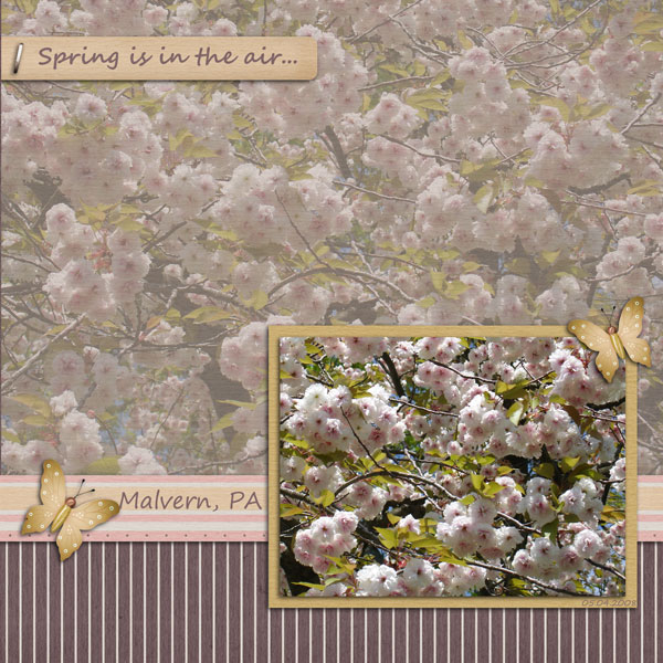 Spring is in the air...