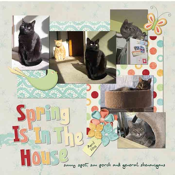 Spring Is In The House