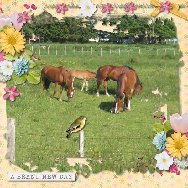Spring is Near