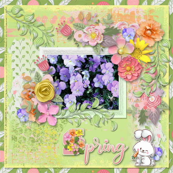 Spring is on the Way