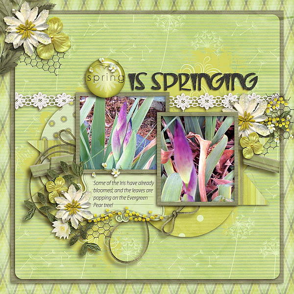 Spring is Springing