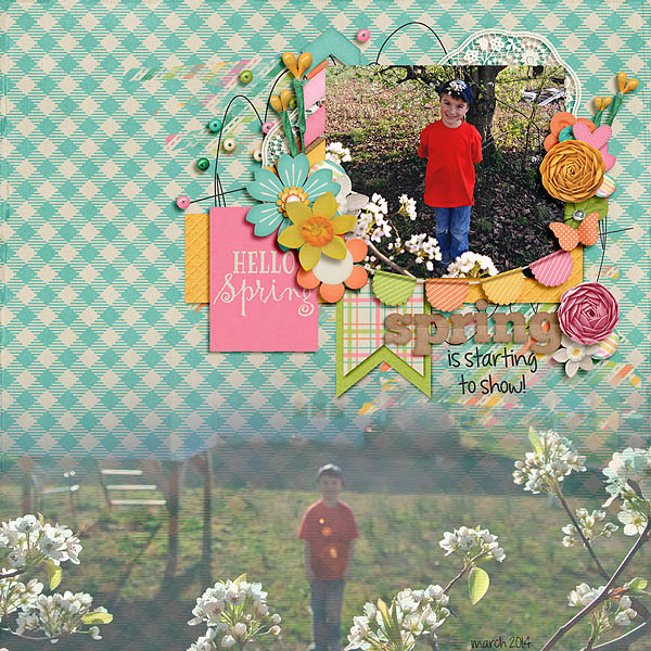 Spring is Starting to Show