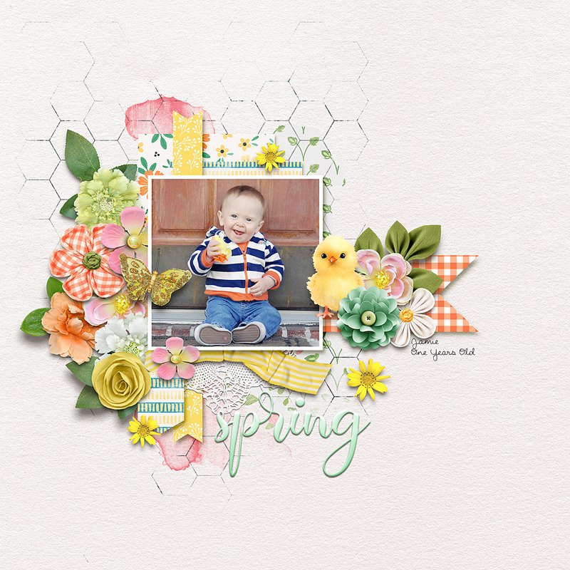 Spring-Jamie.jpg