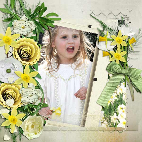 Spring Jonquils